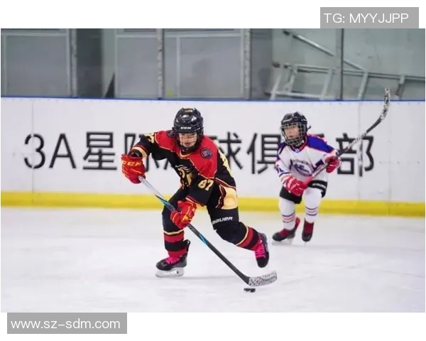 冰球嘉年华市场活动回顾用户参与数据与精彩瞬间全景展示 冰球嘉年华市场活动回顾用户参与数据与精彩瞬间全景展示