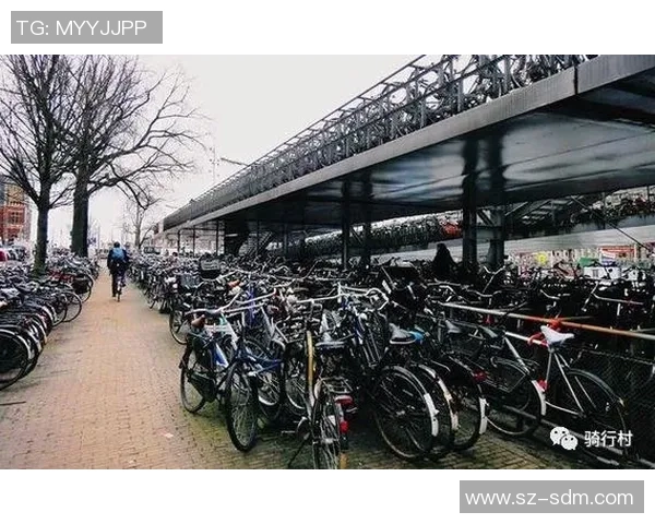 丹麦自行车王国的基础设施建设与健康生活理念的全面推广探索 丹麦自行车王国的基础设施建设与健康生活理念的全面推广探索