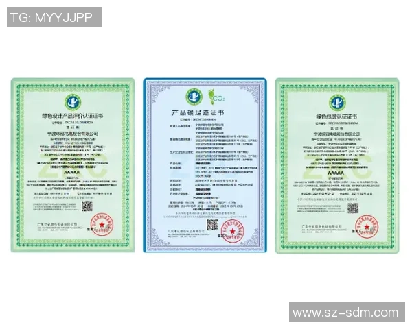 推动游戏产业绿色发展减少能耗与碳足迹的倡议与实践探索